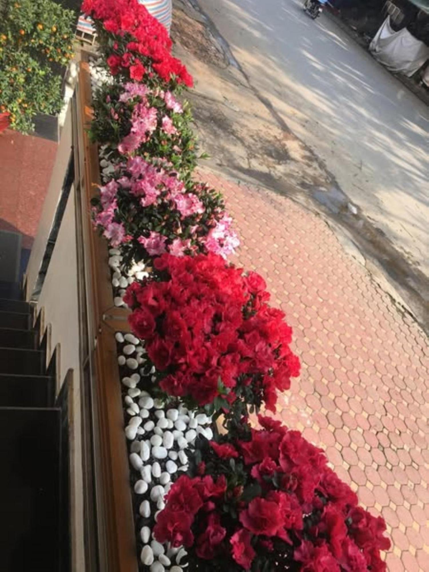 Hoa Viet Hotel Cao Bang Buitenkant foto